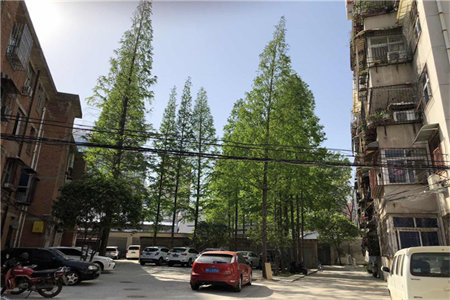 城东百合花园精装3室2厅2卫南北通透电梯房证满两年